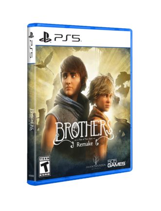 BROTHERS: A TALE OF TWO SONS REMAKE STANDARD – PS5
